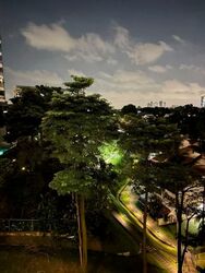 Ridgewood (D10), Condominium #597158161